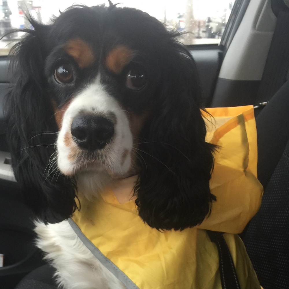 Meet your Posher, April